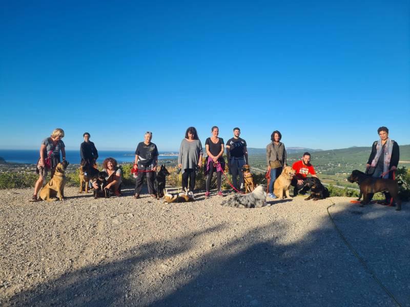 BALADES CANINES EDUCATIVES Var et Bouches du Rhône